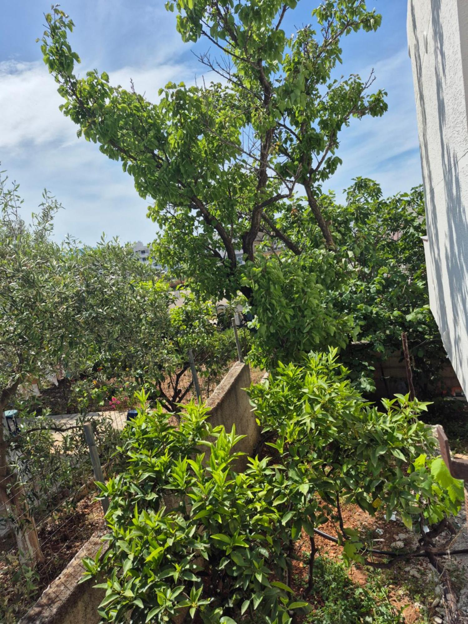 Vita Apartment - Spacious Garden And Balcony 5 Min To Beach & Center Ksamil Zewnętrze zdjęcie