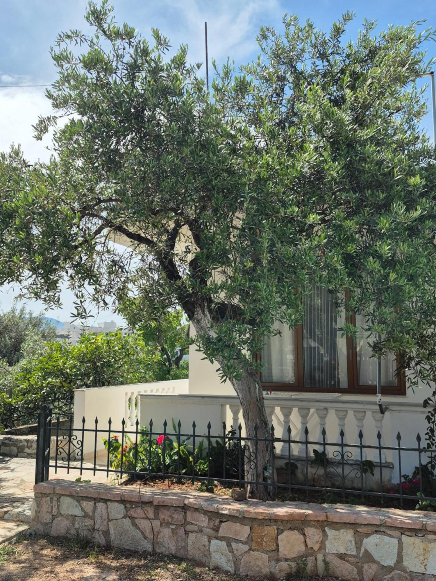 Vita Apartment - Spacious Garden And Balcony 5 Min To Beach & Center Ksamil Zewnętrze zdjęcie