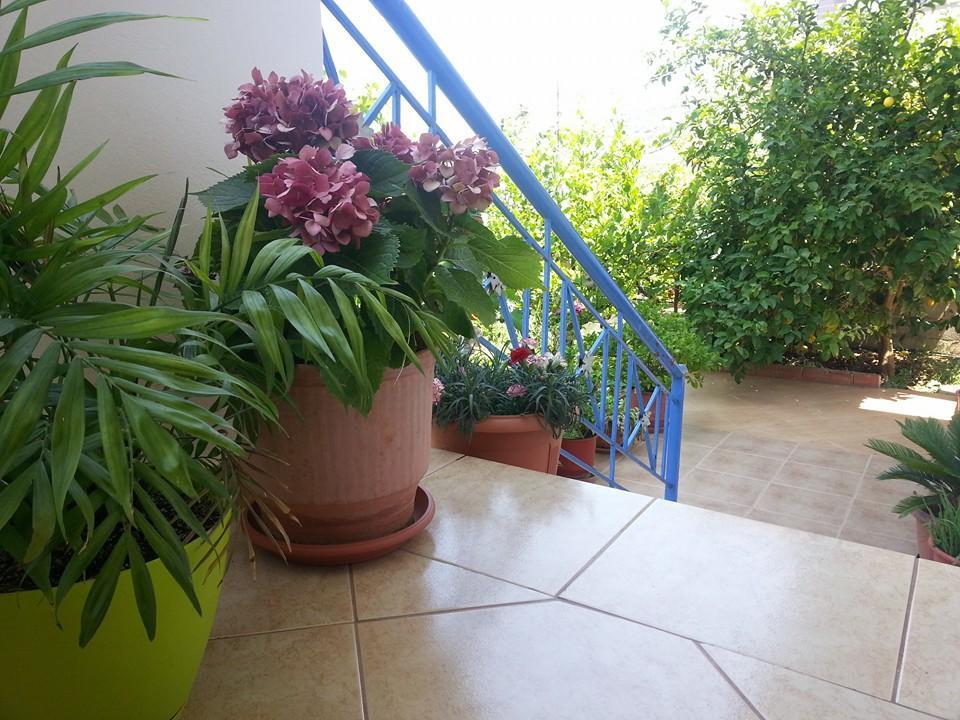 Vita Apartment - Spacious Garden And Balcony 5 Min To Beach & Center Ksamil Zewnętrze zdjęcie